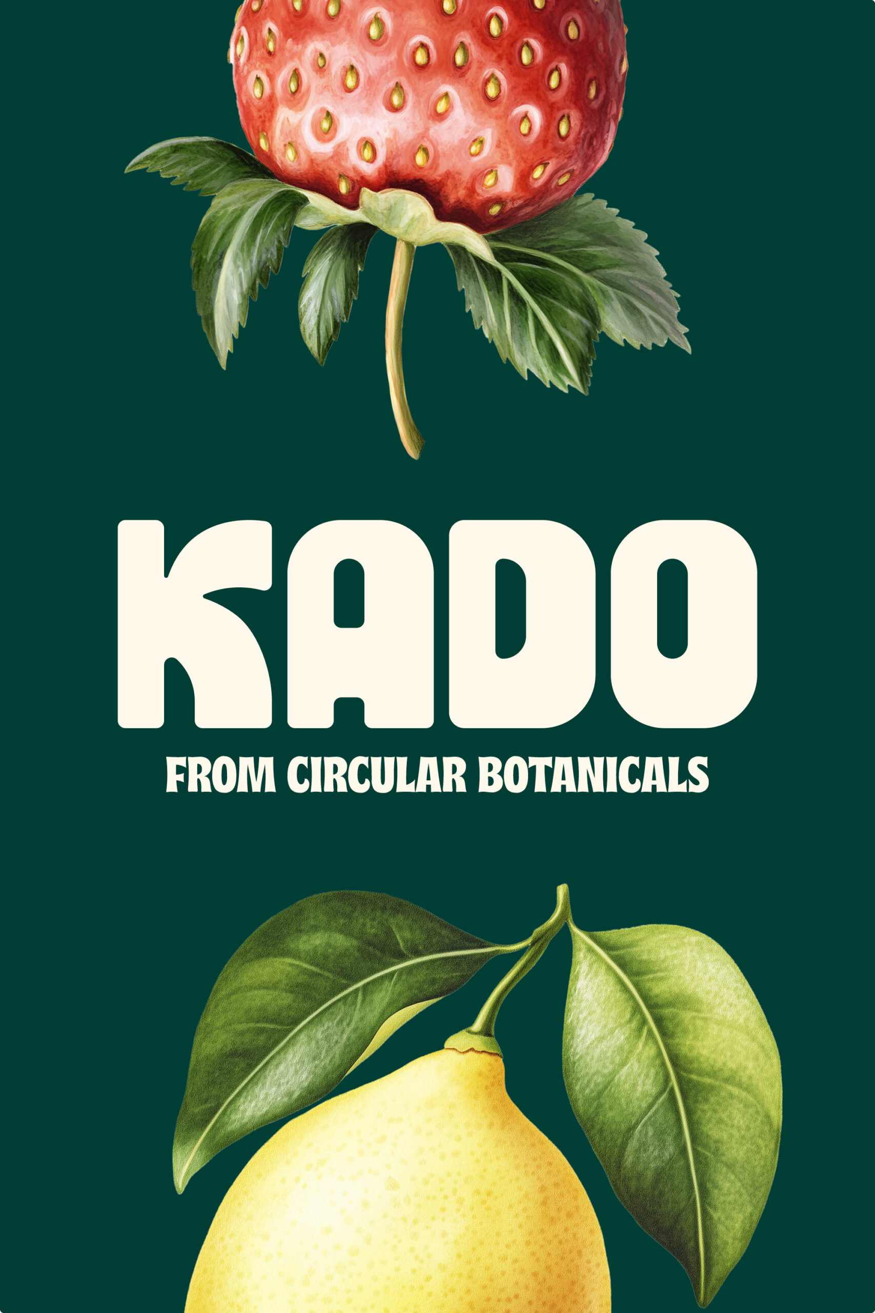 Kado Grafik