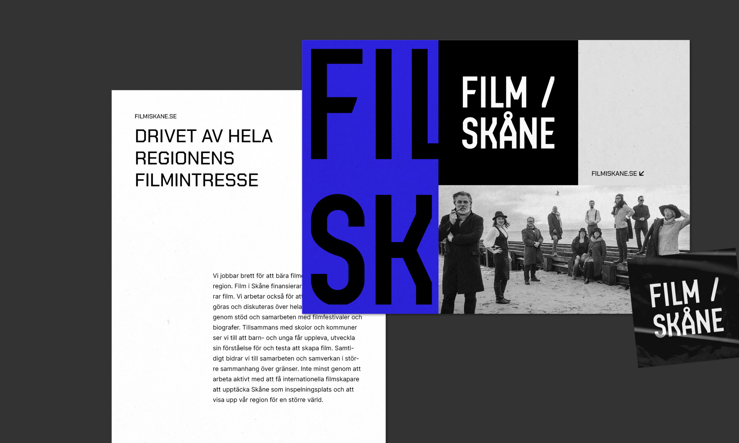 Film i Skåne Grafik