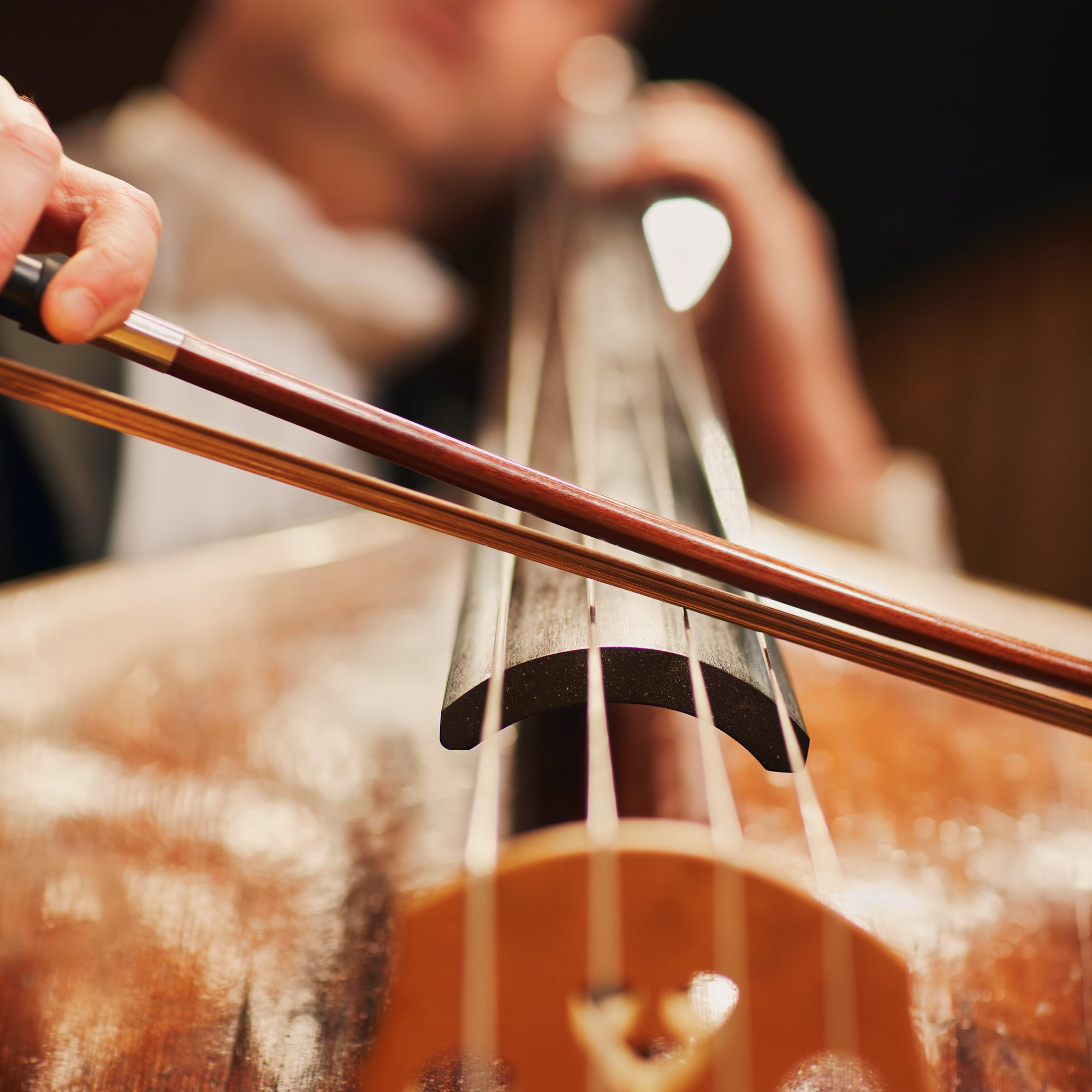 MSO Malmo SymfoniOrkester Cello